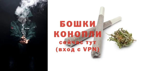 гашик Белоозёрский