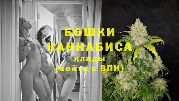 гашик Белоозёрский
